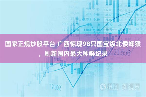 国家正规炒股平台 广西惊现98只国宝级北倭蜂猴，刷新国内最大种群纪录